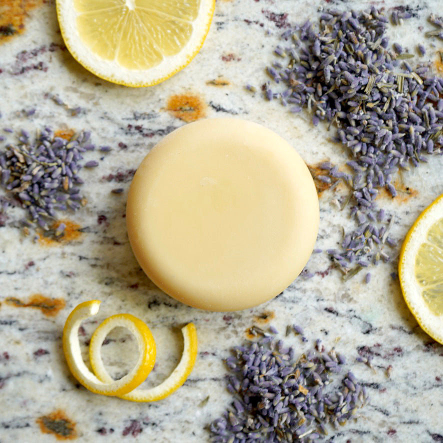 Dog Shampoo—Lavender & Lemon